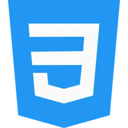 css3